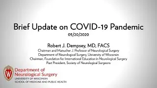 Brief Update on COVID-19 Pandemic, May 20, 2020