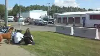 Third Race In Shootout 100ft.