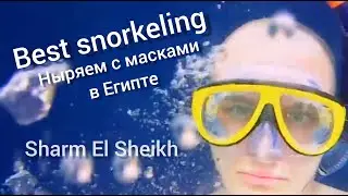 Отдых в Египте 2020 / Ныряем с масками в Шарм Эль Шейхе