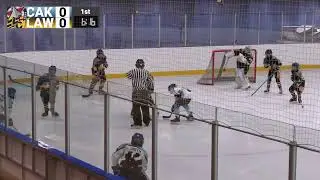 Canton Akron Jets P2 vs Lawrence County Lightning 01-17-2026 Rock n' Roll Cup (12u Peewee Hockey)