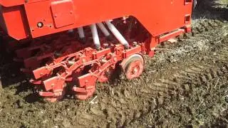 semeato tndg 300  minima lavorazione riso