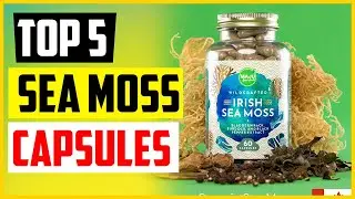 TOP 5 Best Sea Moss Capsules of 2022