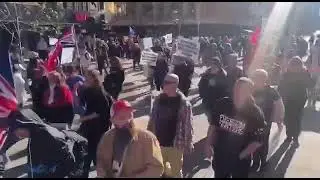 Pro freedom rally in Melbourne