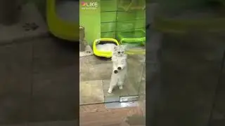 Вы бы хотели забрать тогого Катенька