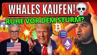 ⚠️ BITCOIN WHALES AUF ALL-TIME HIGH – Ruhe vor dem Sturm!