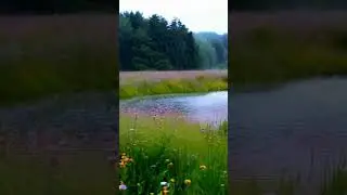 🌧️ Tranquil Rainy Day: Vibrant Meadows, Gentle Stream & Misty Forest 🌿✨