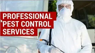 Wildlife Animal Removal Service in Oakville Ontario