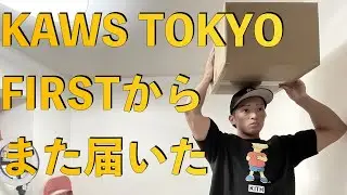 KAWS TOKYO FIRSTからまた届いた