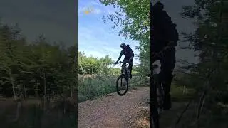 Baselland Trails🇨🇭 #shorts #mtb #downhill #fun #youtube #freeridemtb #funny #switzerland #reels
