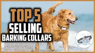 ✅Top 5 Best Selling Barking Collars for 2026
