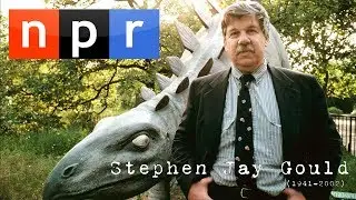 NPR remembers Stephen Jay Gould (20 May 2002)