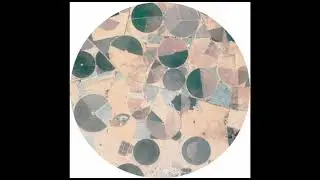 Forest Drive West - 100m - Recursion EP - [ECHOCORD089] - 2022