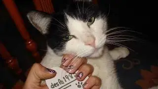 LoveNails TotallyCoolNails Contest_0001.wmv