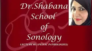 Pelvic Pathologies