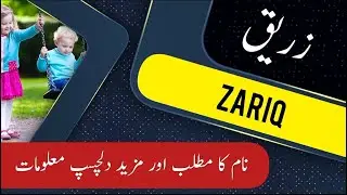 ZARIQ name meaning in urdu & English with lucky number | ZARIQ Islamic Baby Boy Name | Ali Bhai
