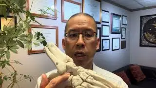 Seattle Sinus Tarsi Syndrome Treatment 