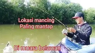 MASIH ALAMI || lokasi mancing belawan yang paling banyak di minati