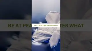 They&rsquo;ll regret listening to others | Spiritual Connections | Twin flames | Soulmates | Shorts