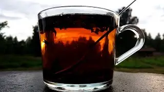 Koporsky tea or Ivan tea