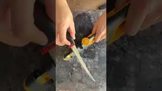 Japanese vs Western style fish filleting knife #fyp #shorts #knife #knives #knifesharpening #kitchen