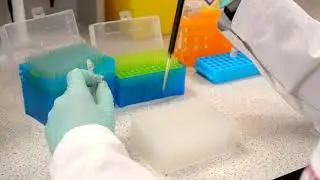 Automating the Thermo Scientific SMART Digest Trypsin Kit with Thermo Scientific KingFisher System