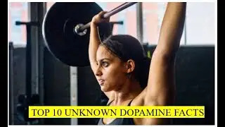 Top 10 FACTS You DON'T KNOW about DOPAMINE
