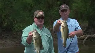 Bass fishing on Lake Whittington in the Mississippi Delta