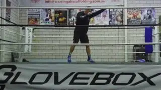 Team Buckley Sydney Boxing