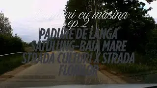 Drumuri cu masina pt.2 Padure de langa satulung - Baia Mare Strada Culturii X Strada Florilor . 4K