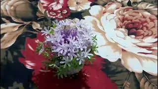amar room new ekta fuldani kinlam dekon