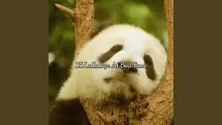 Lifted Into Dreams