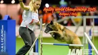 FCI Agility World Championship 2015 - Mona Grefenstein & Page van Nikaron - Individual