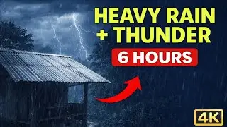 Extreme Rainstorm & Thunder on Tin Roof Hut 🌧️ 6 Hours for Deep Sleep (4K