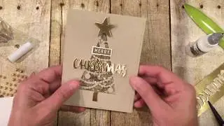 Tulle Shaker Card- Stamp with Jill