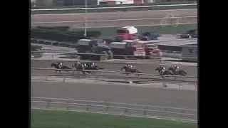 2005 Wood Memorial Stakes - Bellamy Road