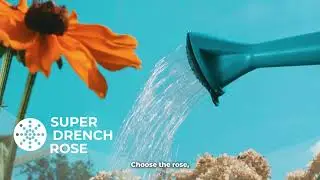 The Flopro Quick Fill & Flo Can-Can 7.5L