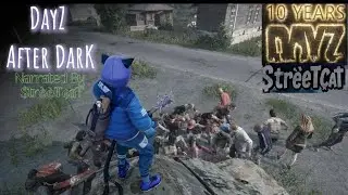 DayZ After Dark: Day 12 ( Nook COMPLETED)