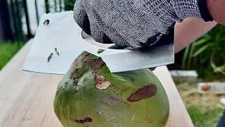 Coconut Peeling Skill | Coconut cutting No.36 | Coconut Ball | Oddly Satisfying ASMR #coconutcutting