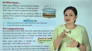 Ch 13 | Animation Junction | Science | Class 02 | Forms Of Water | For children