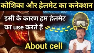 Class 11 biology cell cycle | मानव कोशिका | Human Cell || Basics information of cell | Mtrgolden