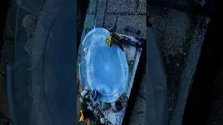 Shining god 🔆vs Diablo Nemesis 🐉 #beyblade #battle #nerd #sound #top #fire #light #destruction