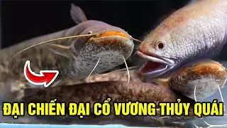 Review of TEN ANCIENT KINGS - Battle Against Sea Monsters and Fierce Fish Part 5