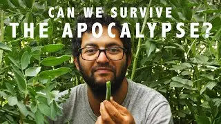 Turning a Backyard into a Farm 🌿Insperational Permaculture Video from Palestine🌿