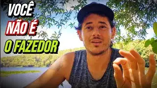 PERCEBENDO SUA VERDADEIRA NATUREZA. O QUE &Eacute; UM PARADOXO?