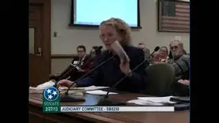 An Attorney Who Says The State Supreme Court Is Not Constitutional