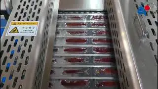 Customer's sweet potato packaging workshop:Thermoforming vacuum packaging machine