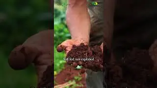 Good Soil, Great Life | The Farm Natura Living Experience #planetgreen #farmnatura #planetgreen