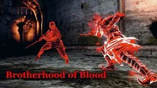 Dark Souls 2 Brotherhood of Blood