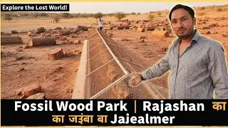 The Most Misterious Tourist Places in Jaisalmer- Fossil Wood Park- Akkal Jaisalmer #jaisalmer