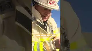 Does your family have a fire escape plan?